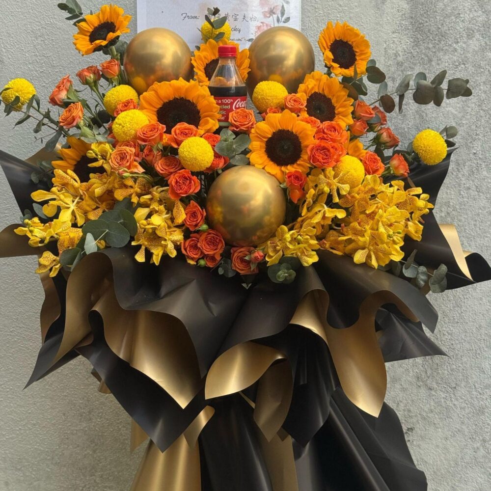 阳光橙金 · 活力启航