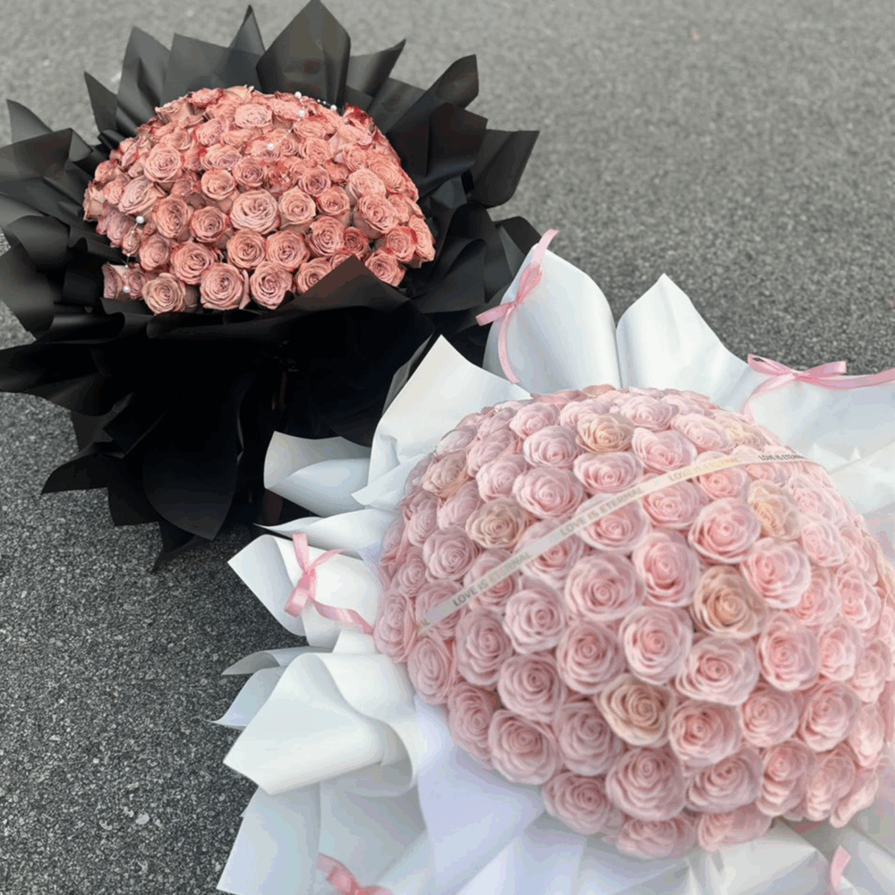 永恒粉黛 · 芳华不散